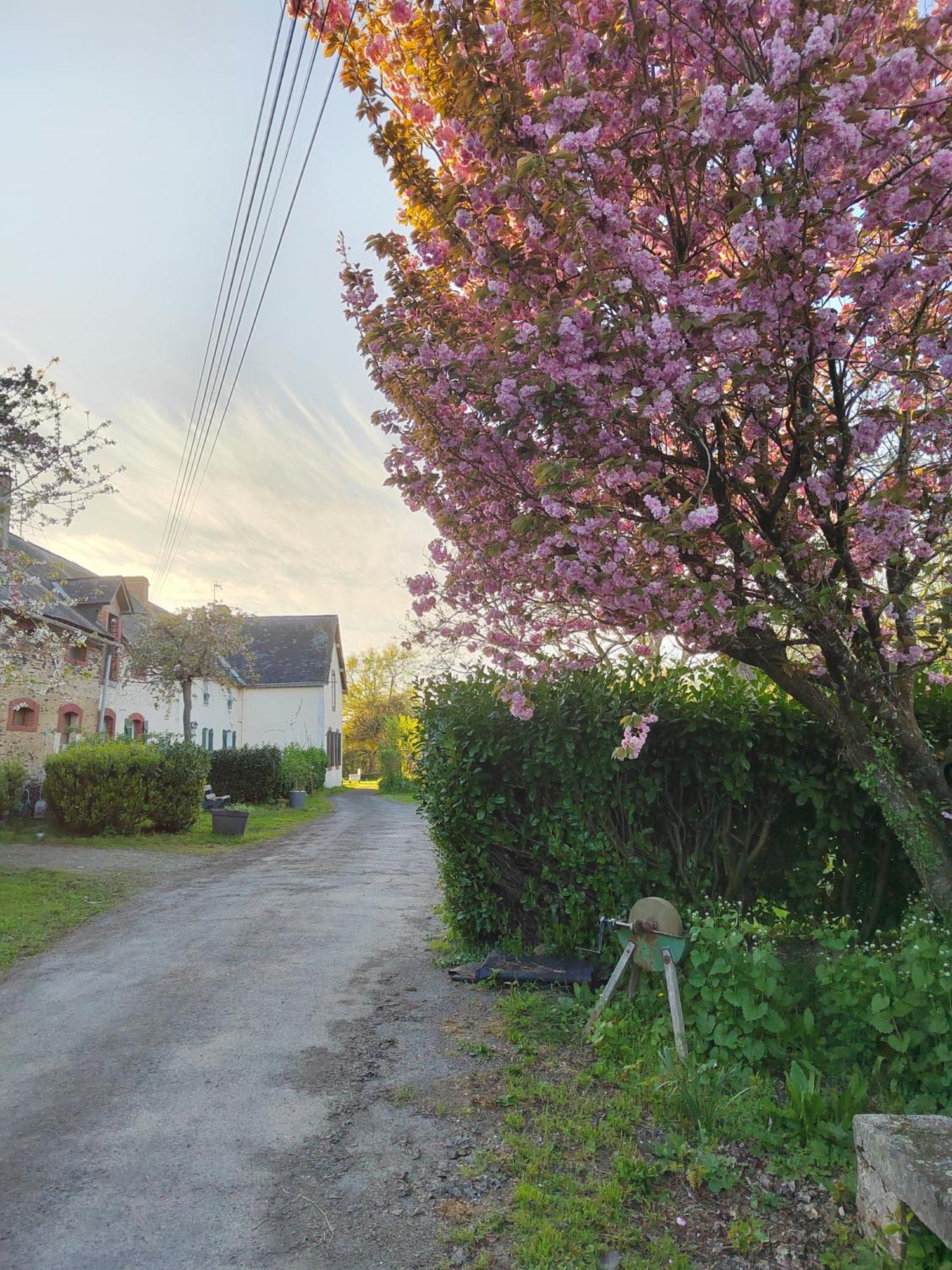 Gites La Butte De L'Esperance Renazé 外观 照片